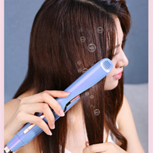Hair Curler Straightener